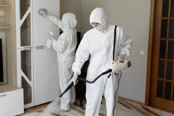 24/7 Emergency Odor Removal experts in Fairview, UT