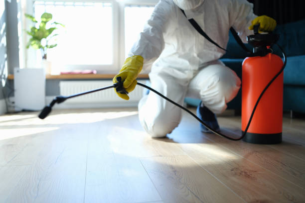 Reliable Odor Removal contractor in Fairview, UT by Trauma Clean Pros